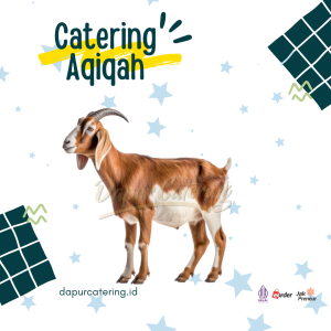 Paket Aqiqah