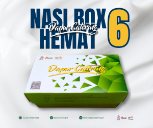 Nasi Box Hemat 6 Dapur Catering