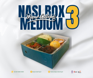 Nasi Box Medium 3 Dapur Catering Jakarta